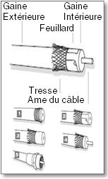 cable fiche f